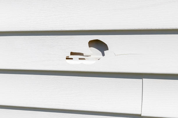 Best Demolition Debris Removal  in New Lexington, OH